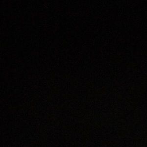 Meet your Posher, Precious